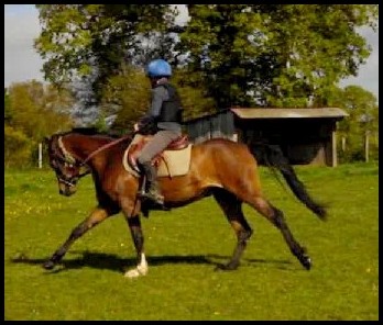 Photo de profil de candon53