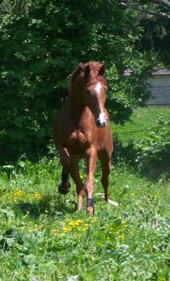 Photo de profil de quimp