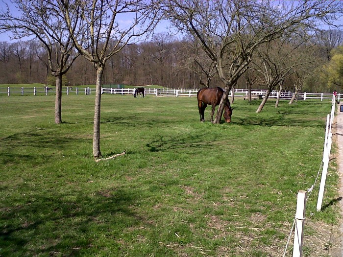 Photo de profil de lillibet