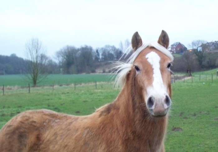 Photo de profil de kellynoouh