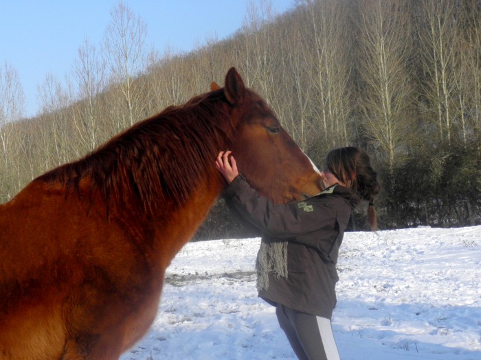 Photo de profil de pokemons