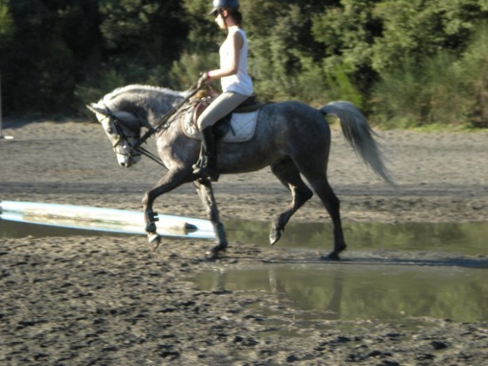 Photo de profil de zazou13