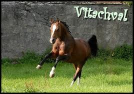 Photo de profil de cycy69