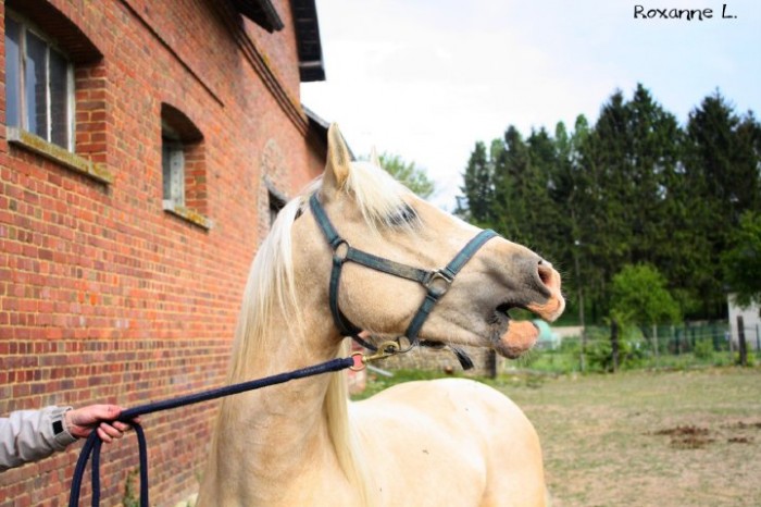 Photo de profil de roulietta27