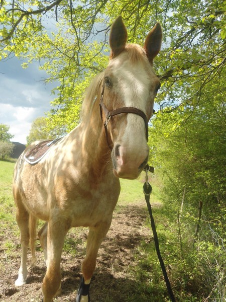 Photo de profil de oriane36