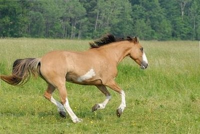Photo de profil de sonbar