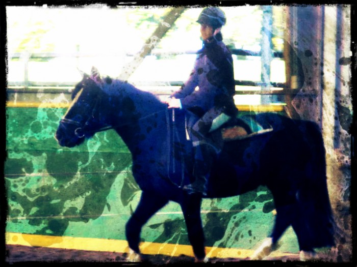 Photo de profil de sosokemom