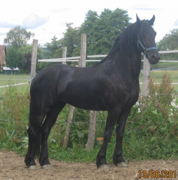 Photo de profil de pat0068