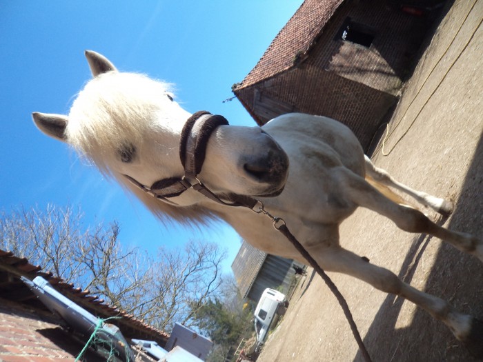 Photo de profil de julielancelot