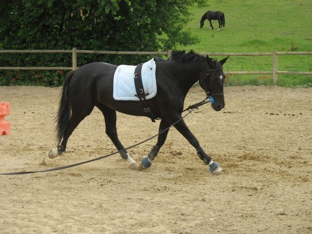 Photo de profil de ellii