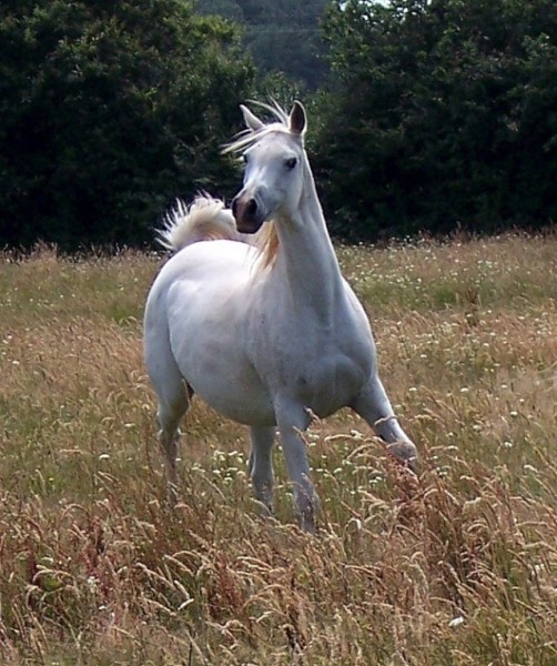 Photo de profil de sinai