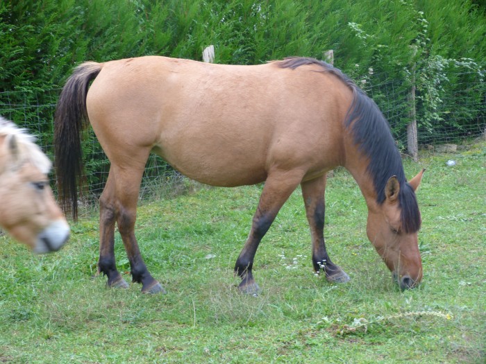 Photo de profil de doory70