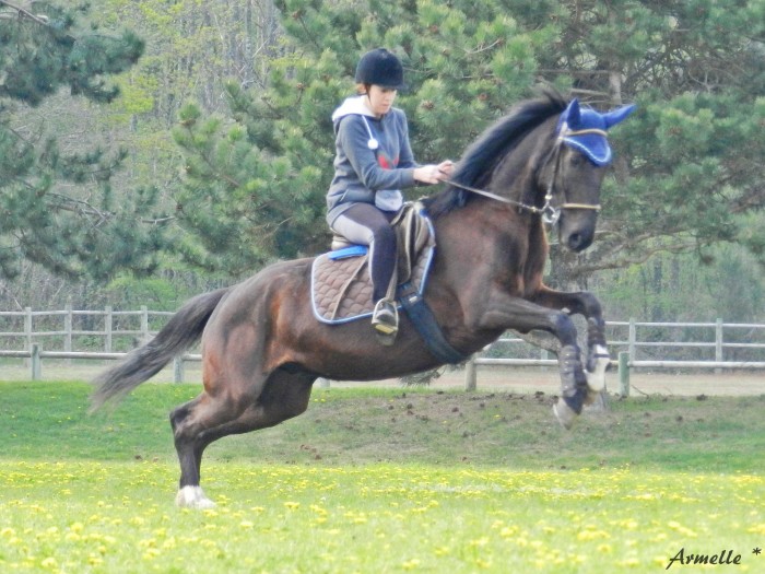 Photo de profil de taquin45