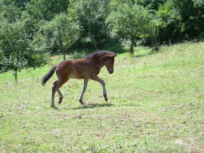 Photo de profil de cedric26