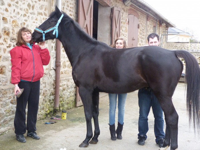 Photo de profil de niniepony