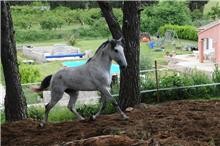 Photo de profil de martyg