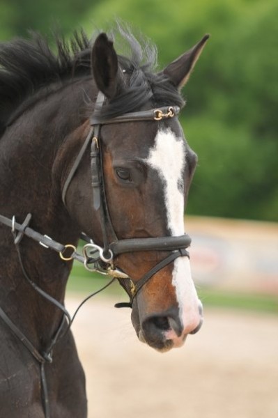 Photo de profil de myrtille03