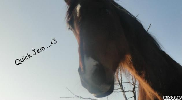 Photo de profil de celi_35620