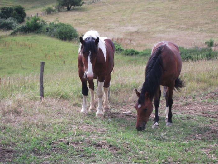 Photo de profil de ecuriemalaval