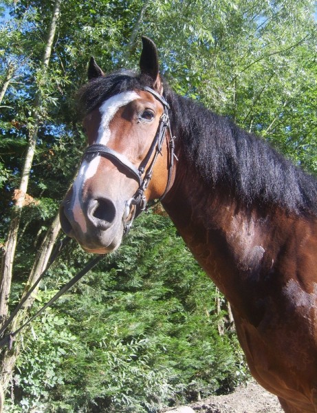 Photo de profil de laurence73