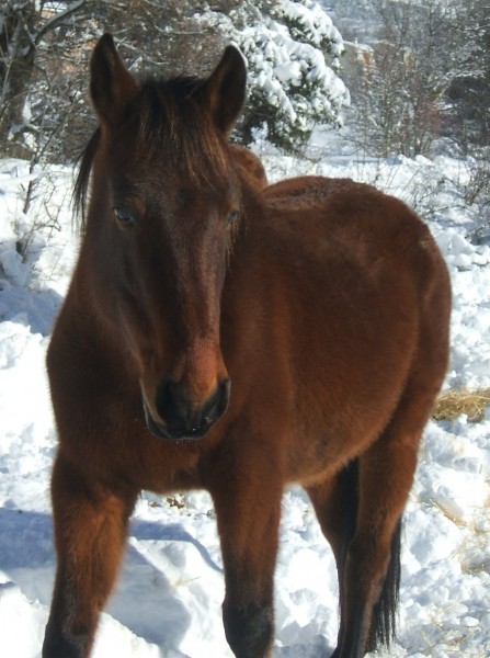 Photo de profil de marlenej