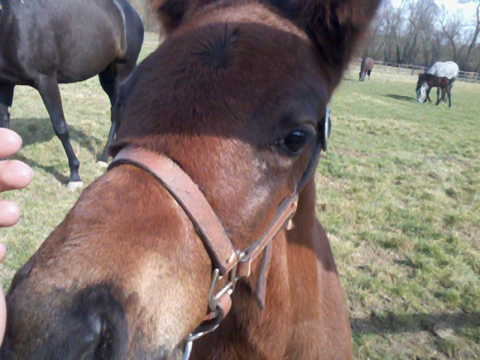 Photo de profil de missmarjo