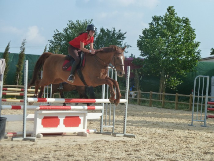 Photo de profil de mushuw