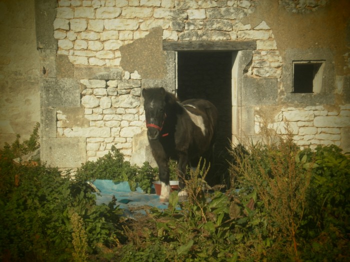 Photo de profil de amandinedu17