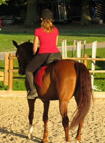 Photo de profil de ophe78