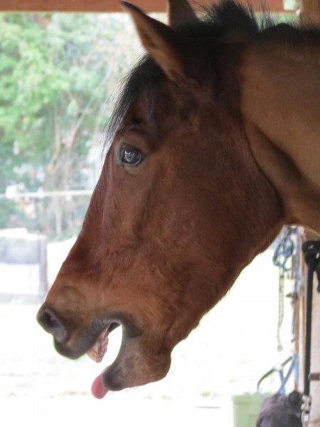 Photo de profil de kis67