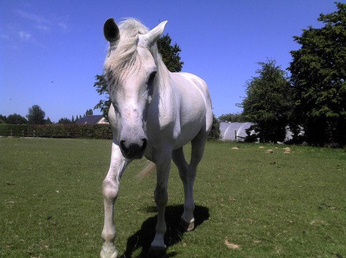 Photo de profil de flaure8177