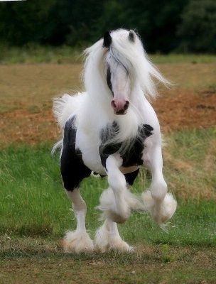 Photo de profil de lalolottedu88