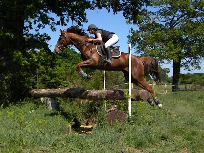 Photo de profil de larose56