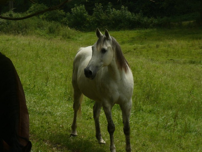 Photo de profil de laetwii