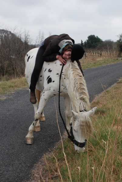 Photo de profil de mimiecheval