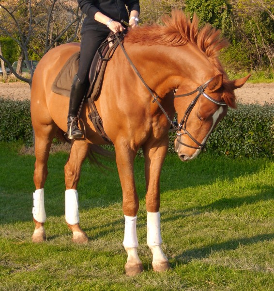 Photo de profil de fewloulou