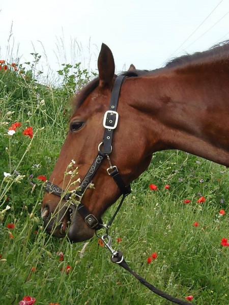 Photo de profil de kimx