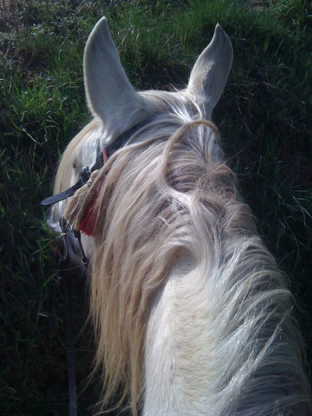 Photo de profil de toon69