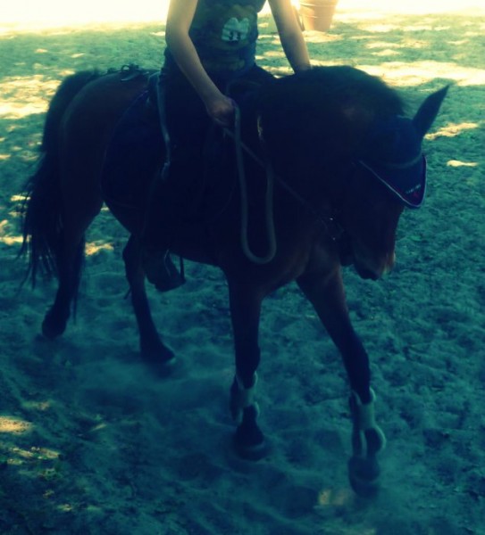 Photo de profil de paulinedaisy