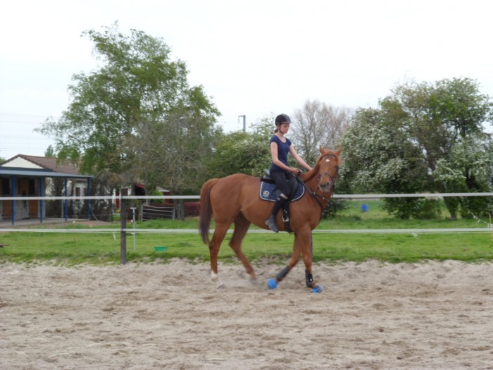 Photo de profil de pampa_cassandre