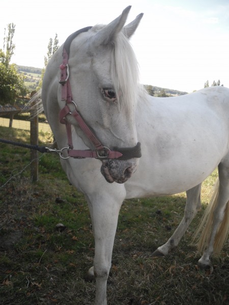 Photo de profil de caloca