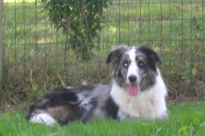 Photo de profil de viscka