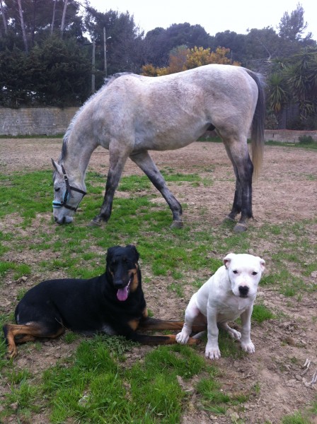 Photo de profil de syska.stolen