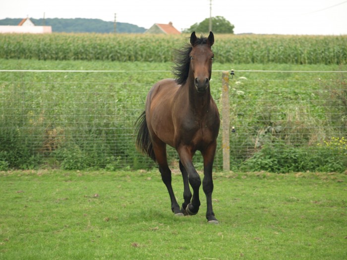Photo de profil de daby