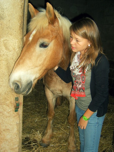 Photo de profil de mlovehorse