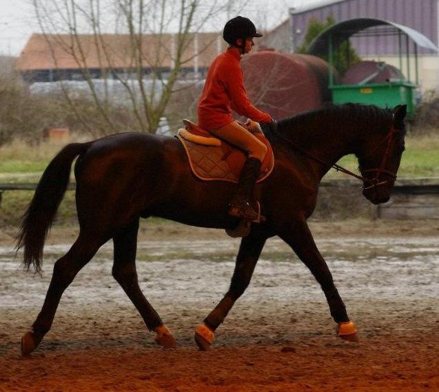 Photo de profil de equi51