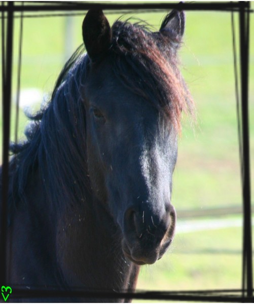 Photo de profil de melissaraux