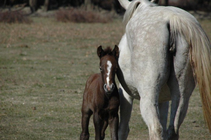 Photo de profil de laurianne.m