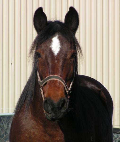 Photo de profil de legx4