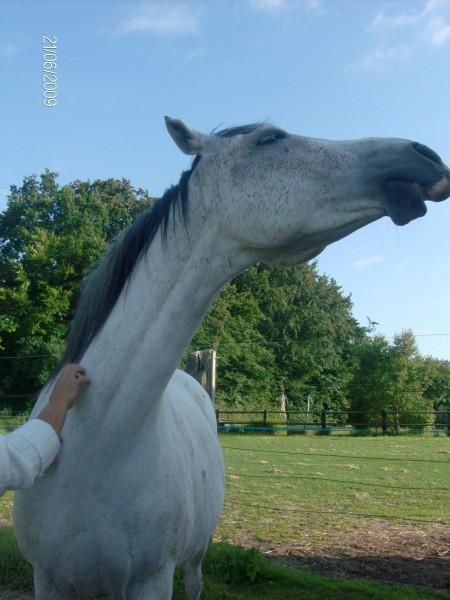 Photo de profil de cousetrotteur